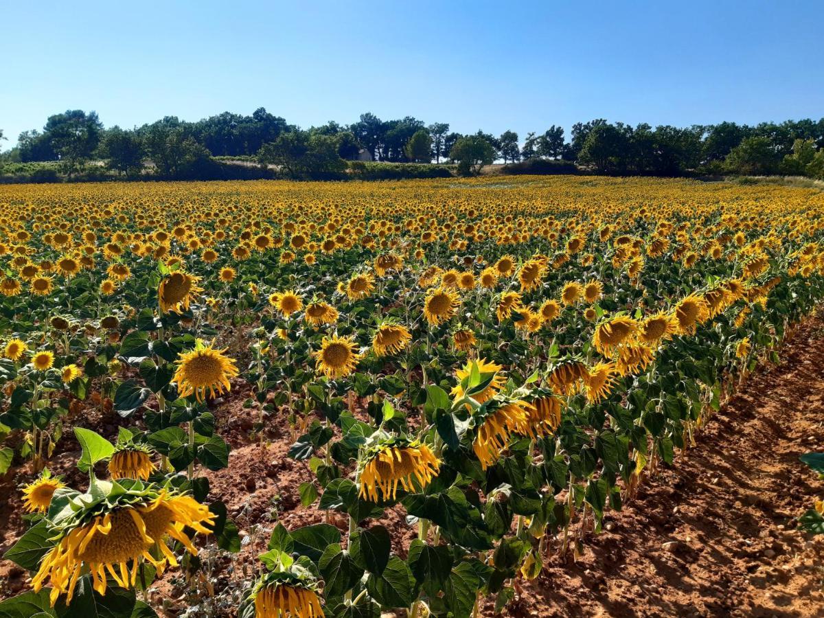 La Vita Dolce, Luberon Grambois Екстериор снимка